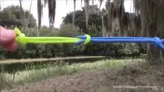 Join Two Perfection Loop Knots Together easy knot to tie Updated to 2024