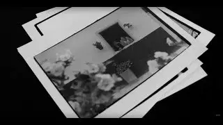 Curso Fotografía Analógica Y Laboratorio Blanco y Negro