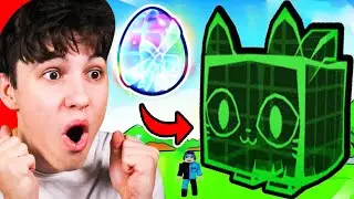 Otevřel Jsem Titanic Hologram Cat!!!