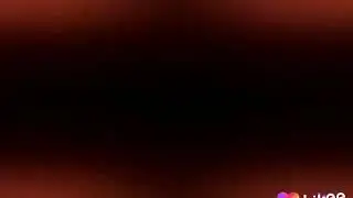Леди баг и супер кот Лайла