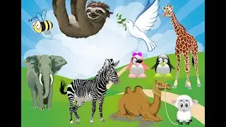 Lovely Familiar Animals and their Sound | MONKEY | CAT | SHEEP | DUCK | HORSE