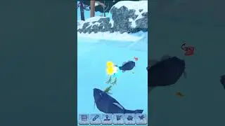 🐤ГОАЦИН (Новая Птица 2024) Семья Птиц Роблокс 🐤Feather Family Roblox Hoatzin NEW BIRD