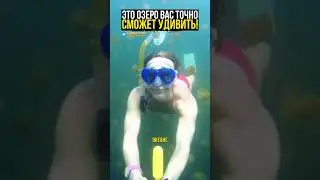 Невероятно 😳 #факты
