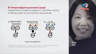 КАК ИНТЕРНЕТ И ТЕЛЕФОНЫ ОТУПЛЯЮТ МОЗГ ЧЕЛОВЕКА? АНДРЕЙ КУРПАТОВ В СОВЕТЕ ФЕДЕРАЦИИ ПРЕДСТАВИЛ ДОКЛАД