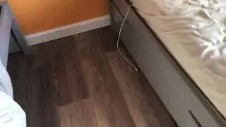 Throwing a stuffed dog.