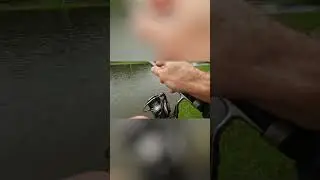 LIVE-BISS während Telefonat!