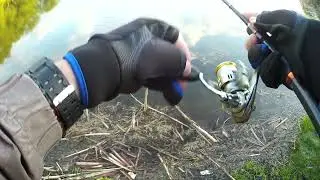 БигУк)) на мормышинг #shorts #рыбалка #рек #тренды #втренде #топ #rybalkaestrybalka #врек #fishing
