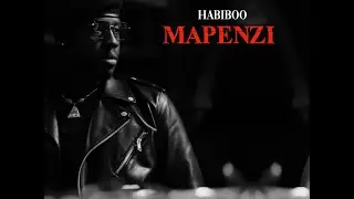 MAPENZI