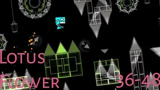 Lotus Flower 36-48 | 60hz mobile (Top 25)