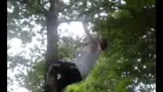 Human Monkey?