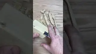 Basswood - the perfect wood for whittling or carving! #woodcarving #whittling #wood