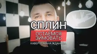 Сплин - Остаемся зимовать (Кавер Романа Жданова)