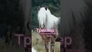 ЗАХОДИМ В ТРЕЙЛЕР. Сложная версия