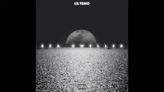 Lil Temo - DND