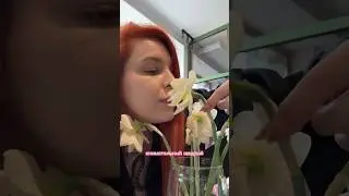 Кто-нибудь знает, че за цветок такой ваще?