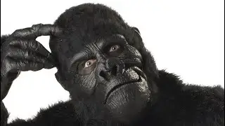 Godzilla vs Kong meme
