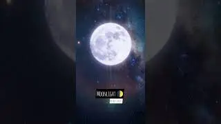 [Free]MOONLIGHT - Jersey Club Melodic Type Beat 2023