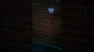 SLOW MOTION WITH BAG