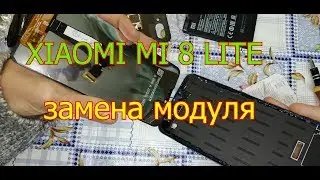 Xiaomi MI 8 Lite РАЗБОРКА И ЗАМЕНА МОДУЛЯ