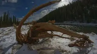 Coffee Photos - Canmore 2024-2