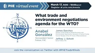 What trade and environment negotiations agenda for the WTO?