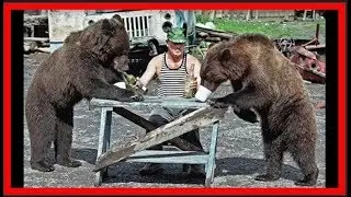 Only in Russian Crazy Compilation / 👍Meanwhile in Russia Fails 32