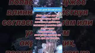 #рекомендации #гороскоп #луна #shortsvideo #shortsyoutube #shorts #гороскоп #советдня