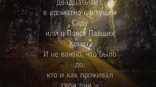 Тик Ток