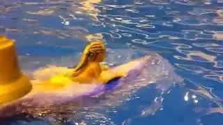 Плаваю с дельфинами!😍😍👍👍👍👍👍