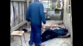 Уличная драка! Конкретный удар!!!