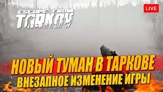 Новый туман в Таркове! Вылазки днём и ночью