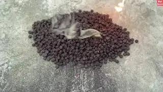 3500 SNAKE BONB GNUE EIRE CRCKER TESTING /DIWAU STASH 2021 EXPERIMENT VIDEO // SAAP KI zGOLI 2021???