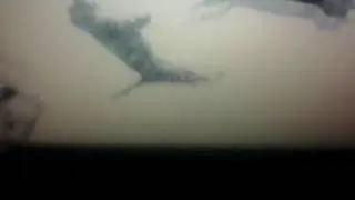 Милашки катятки