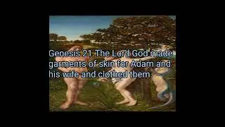 Garments of skin