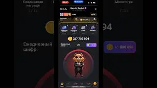 Новый ШИФР в Хамстер Комбат 24 - 25 августа