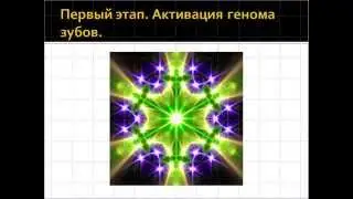 Рост зубов.Презентация видео курса