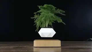 Flying Pot