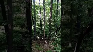 Субботник в лагере 