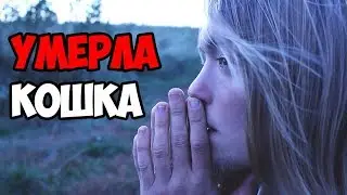 у меня умерла кошка.