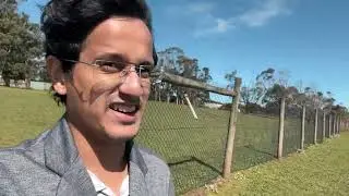 VISITING PENGUINS ON PHILLIP ISLAND - PART 1