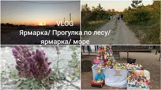 VLOG ярмарка/ прогулка по лесу/ярмарка/море