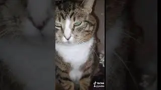 Ты мой цветочек 