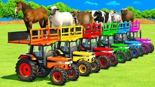 TRANSPORTING ANIMALS, SHEEP, COWS, BULLS, HORSES & POLICE CARS WITH MAN TRUCKS - FS22