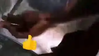 Обезьяны Usha kun Men mas edim