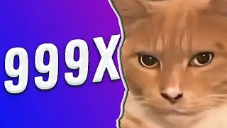 CAT MEWING BYE BYE 999x speed