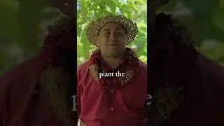 Let's Talk Story (Summer)