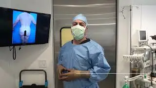 Dr. Laguna | This is how we get proportionality using our latest study on world famous models