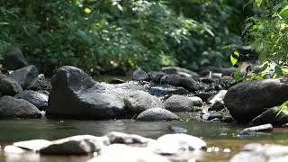 oothing River Sounds for Relaxation and Healing