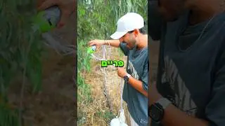 מצאתי את הבקבוק פריים ששלחתי לחלל!!!