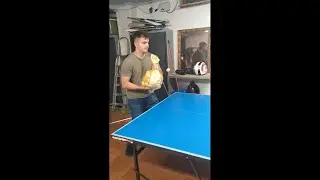 ping-pong
